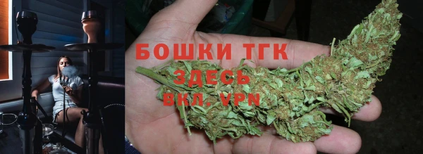не бодяженный Гусев